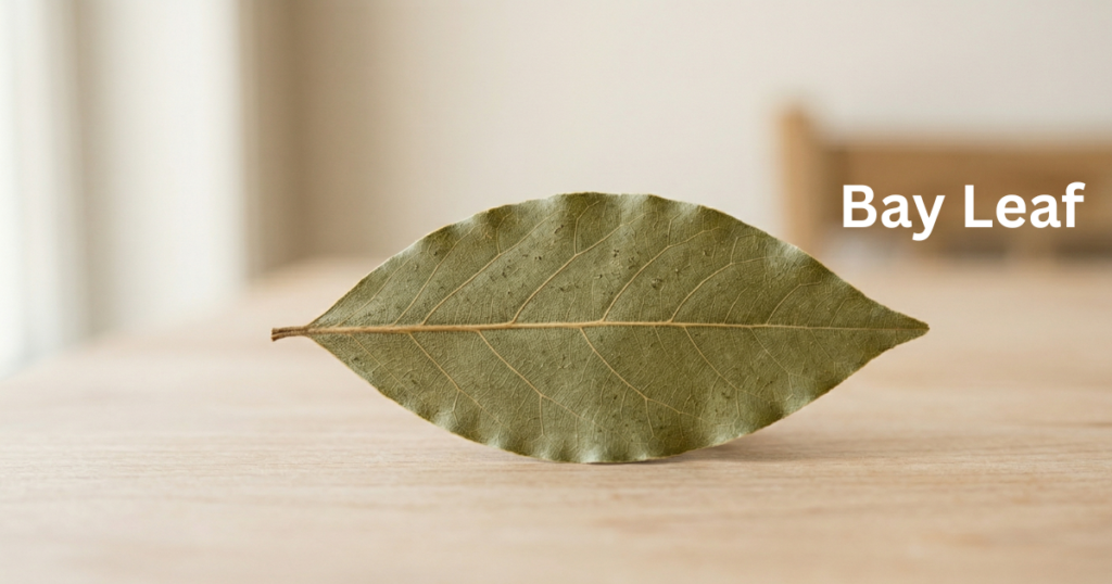 single bay leaf used in dal makhani recipe
